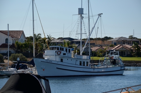 Итоги Riviera Port Lincoln Tuna Classic