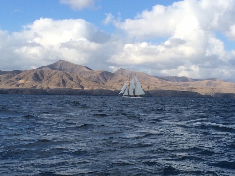 Transat Classique 2019: обратный отсчет