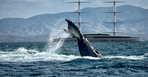 Royal Huisman проект LOTUS - World Première Monaco Yacht Show 2019