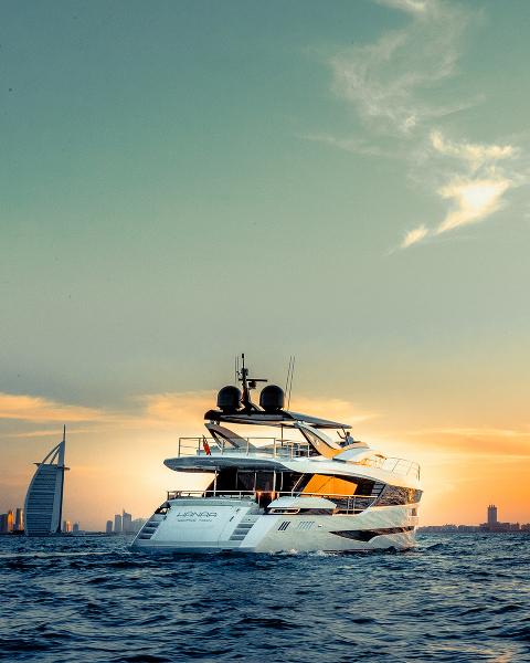 Признание Dominator Yachts